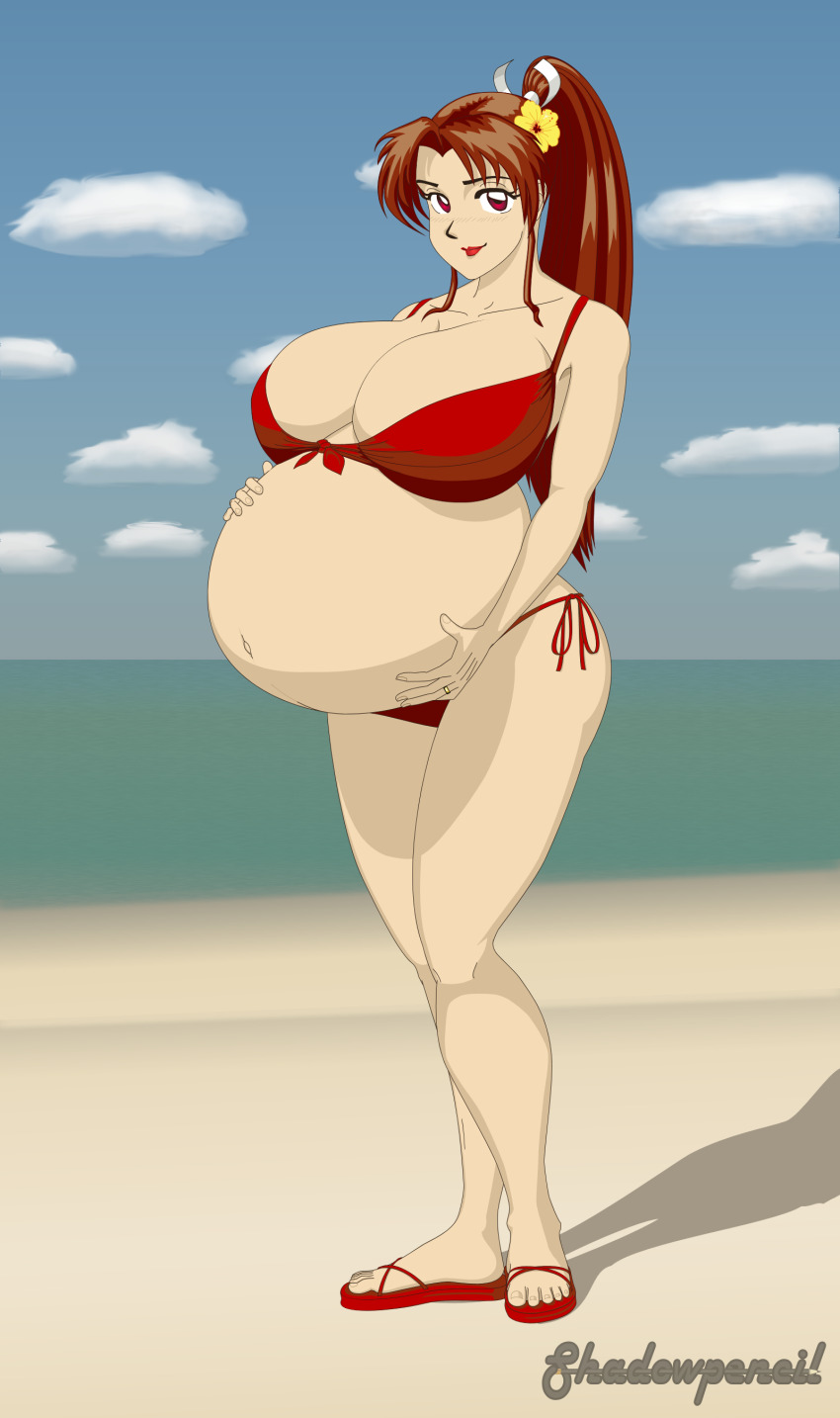 Fatal Fury Rule 34 Image