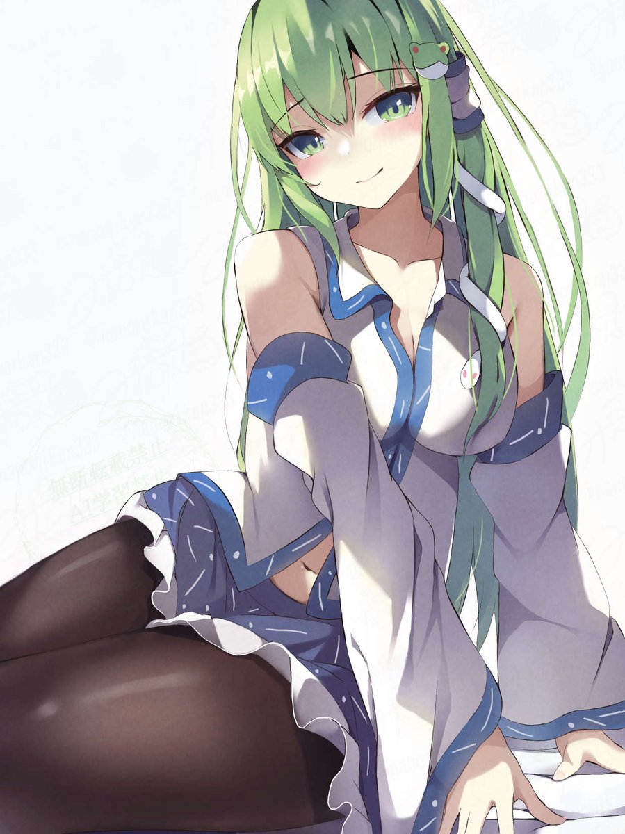 Kochiya Sanae (Touhou) Rule 34 Image