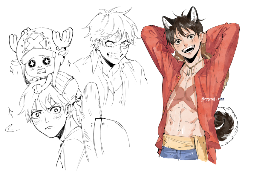 Tony Tony Chopper (Monkey D. Luffy) Rule 34 Image