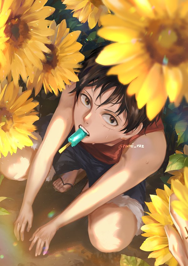 Monkey D. Luffy Rule 34 Image