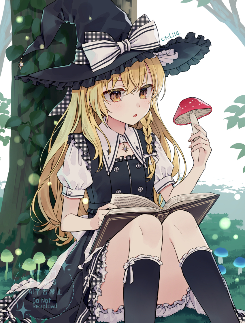 Kirisame Marisa (Touhou) Rule 34 Image