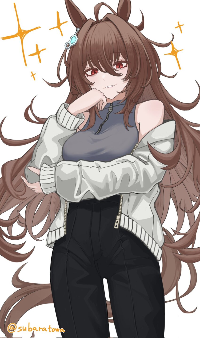 Agnes Tachyon (Umamusume) Rule 34 Image