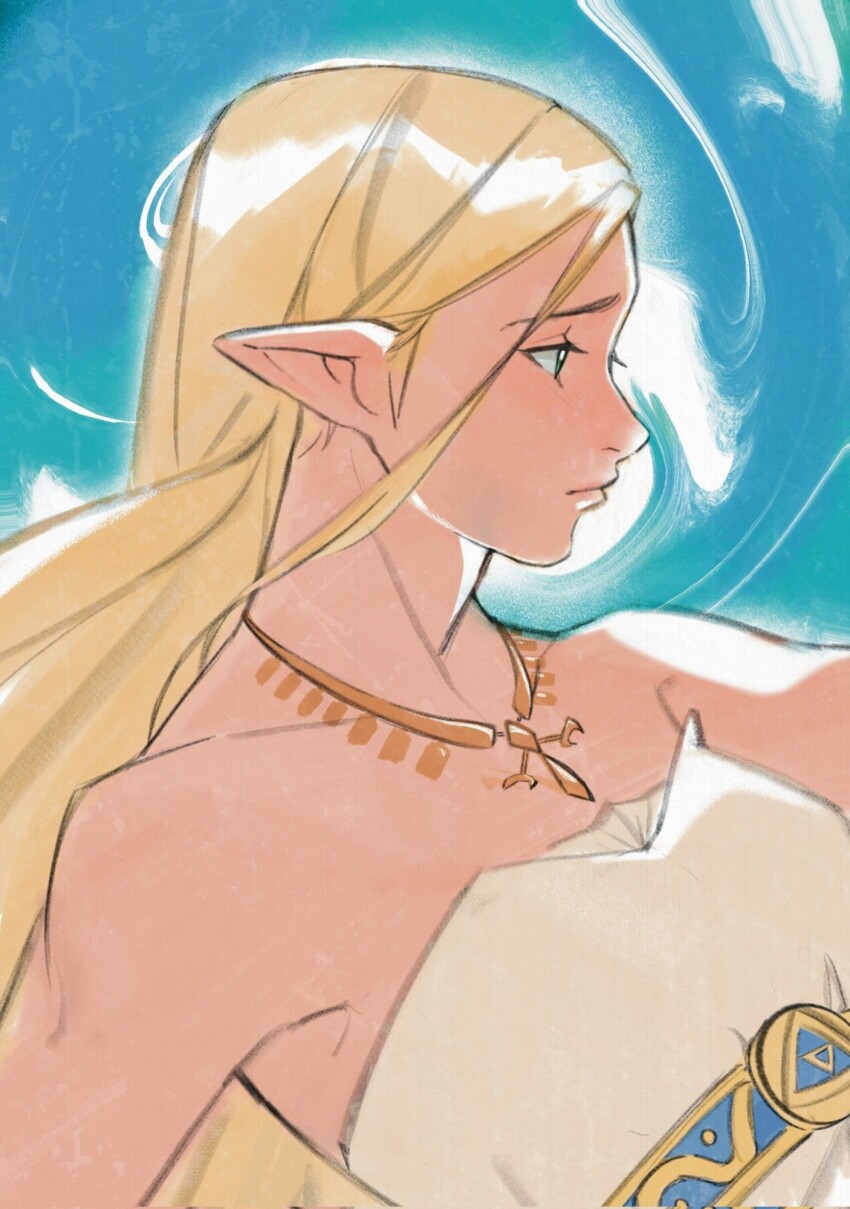 Princess Zelda (Nintendo) Rule 34 Image