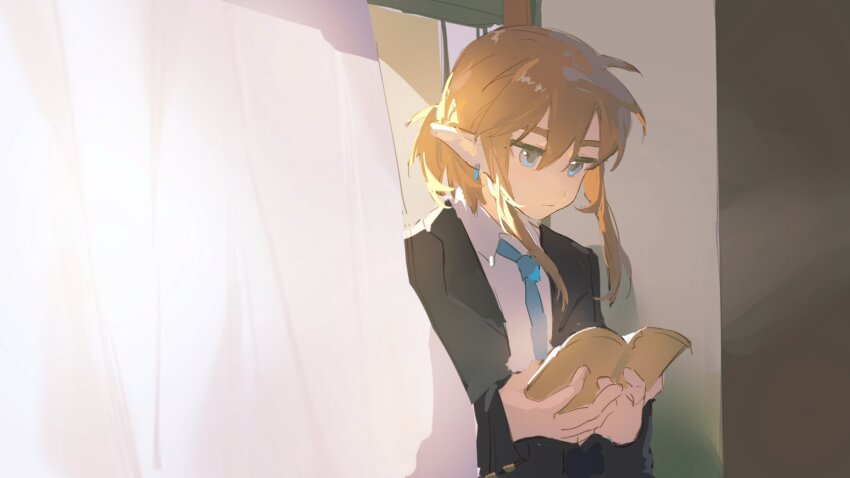 Link (Nintendo) Rule 34 Image