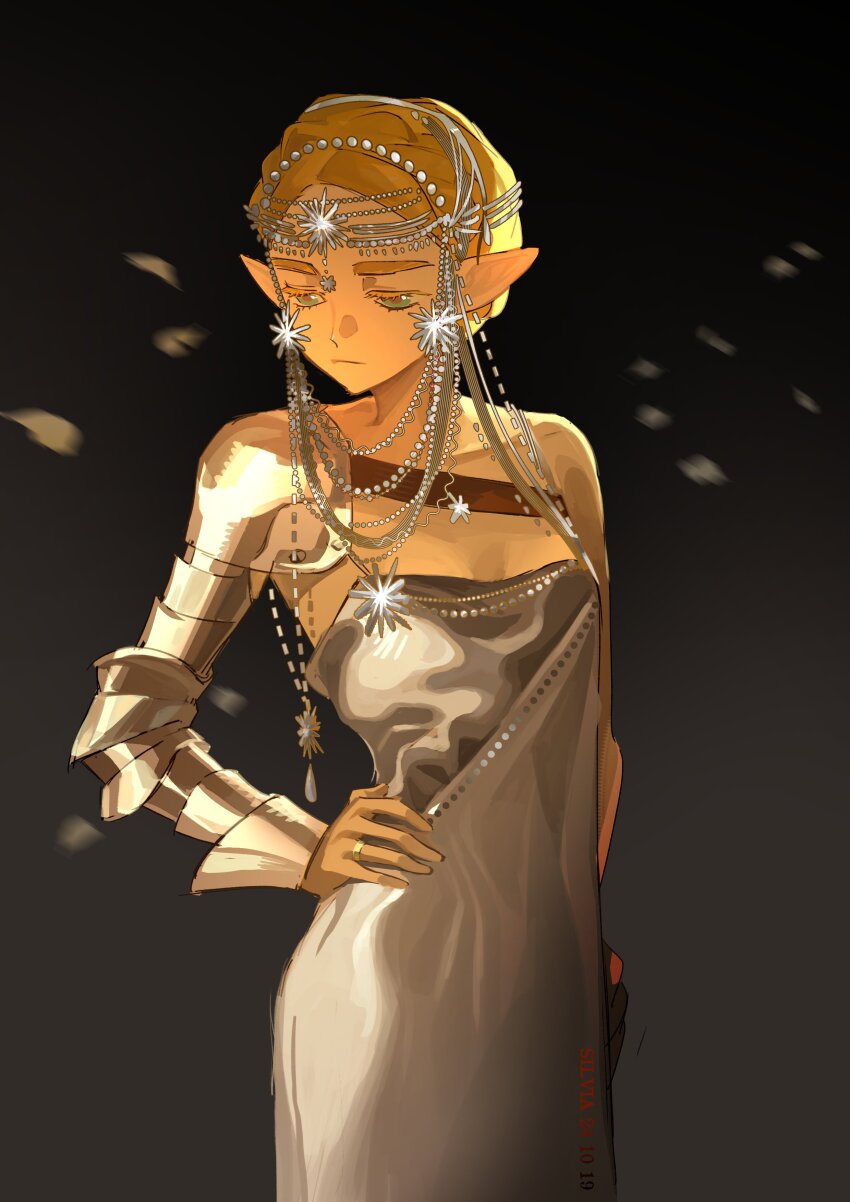 Princess Zelda (Nintendo) Rule 34 Image