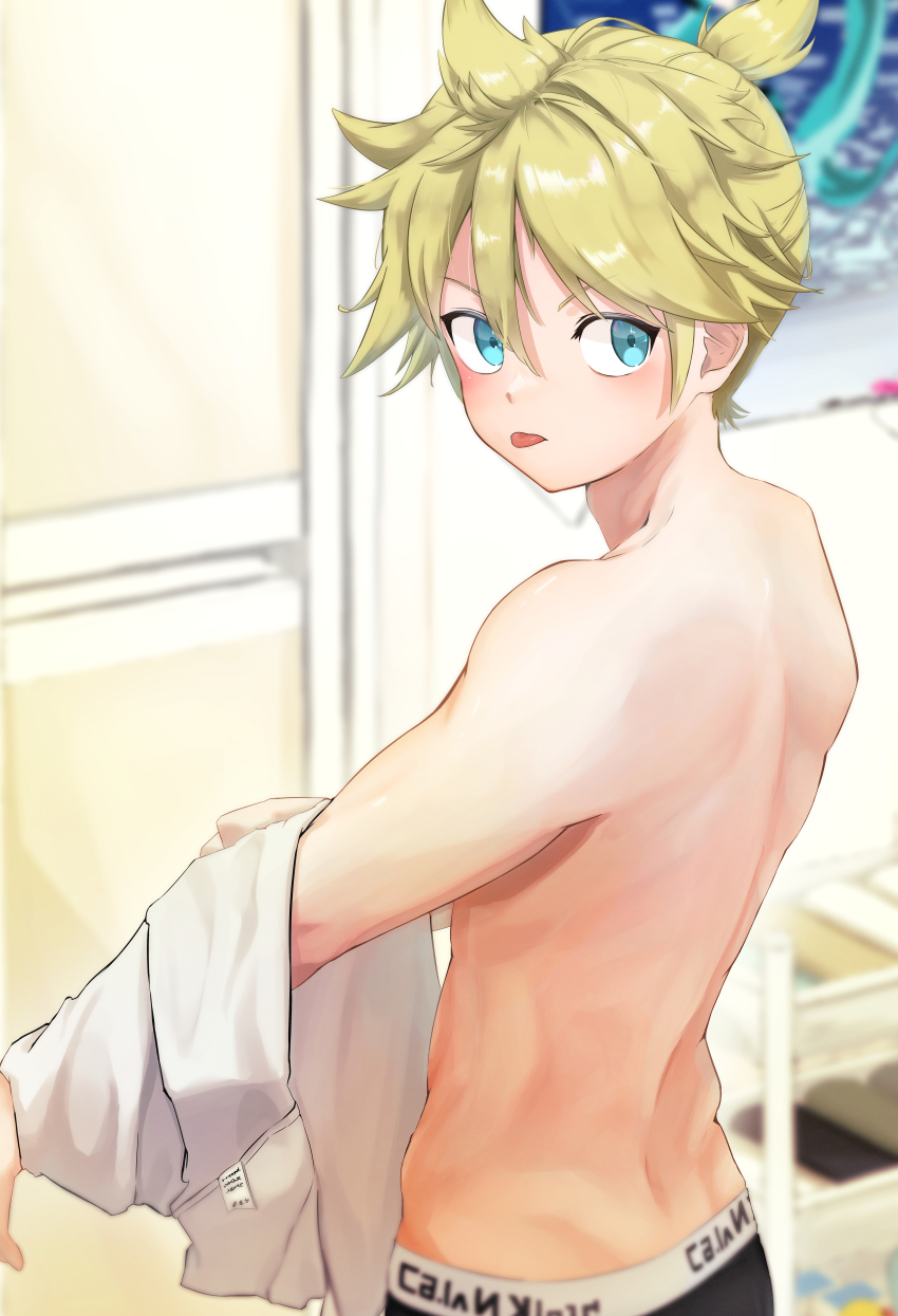 Hatsune Miku (Vocaloid) Rule 34 Image