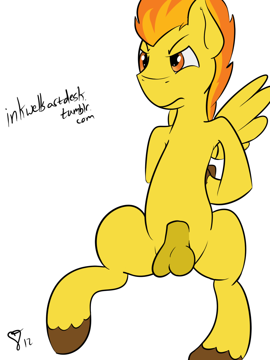 Spitfire (Mlp) Rule 34 Image