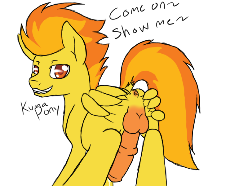 Spitfire (Mlp) Rule 34 Image