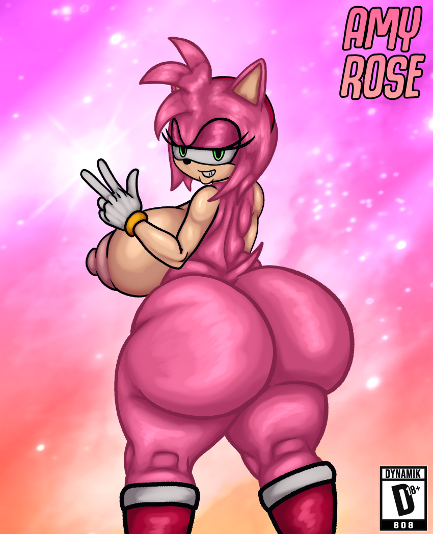 Amy Rose (Sonic (Series)) Rule 34 Image