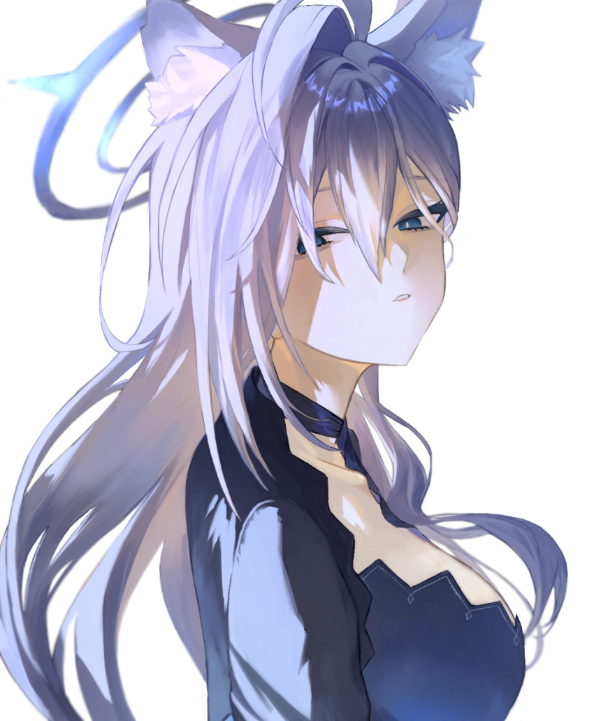 Shiroko Terror (Blue Archive) Rule 34 Image