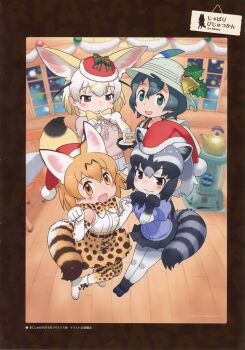 Common Raccoon (Kemono Friends) Rule 34 Image