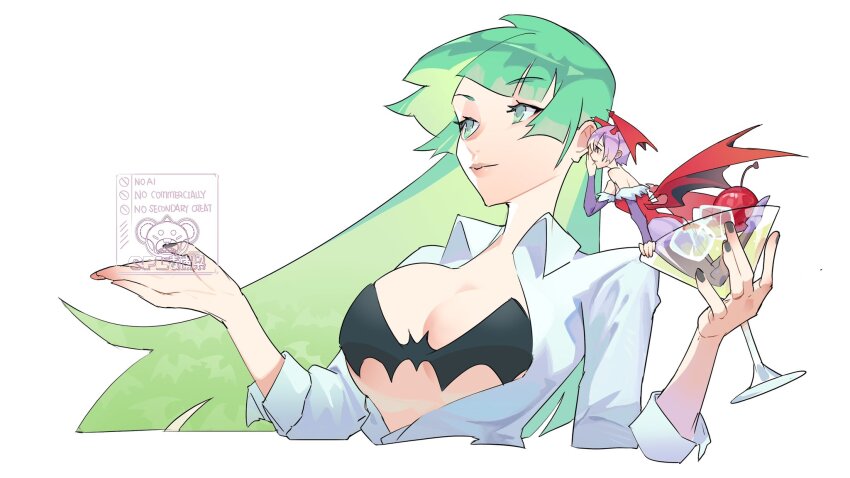 Lilith (Darkstalkers) Rule 34 Image