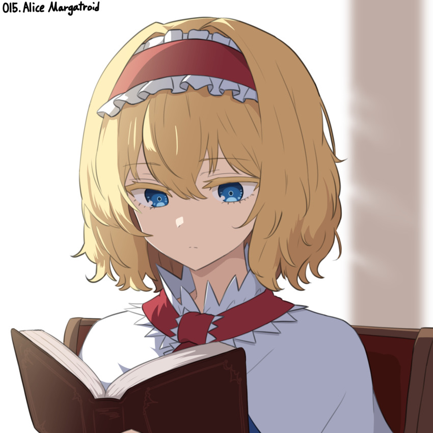 Alice Margatroid (Touhou) Rule 34 Image
