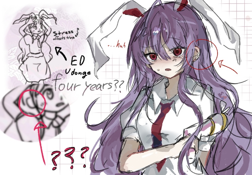 Reisen Udongein Inaba Rule 34 Image