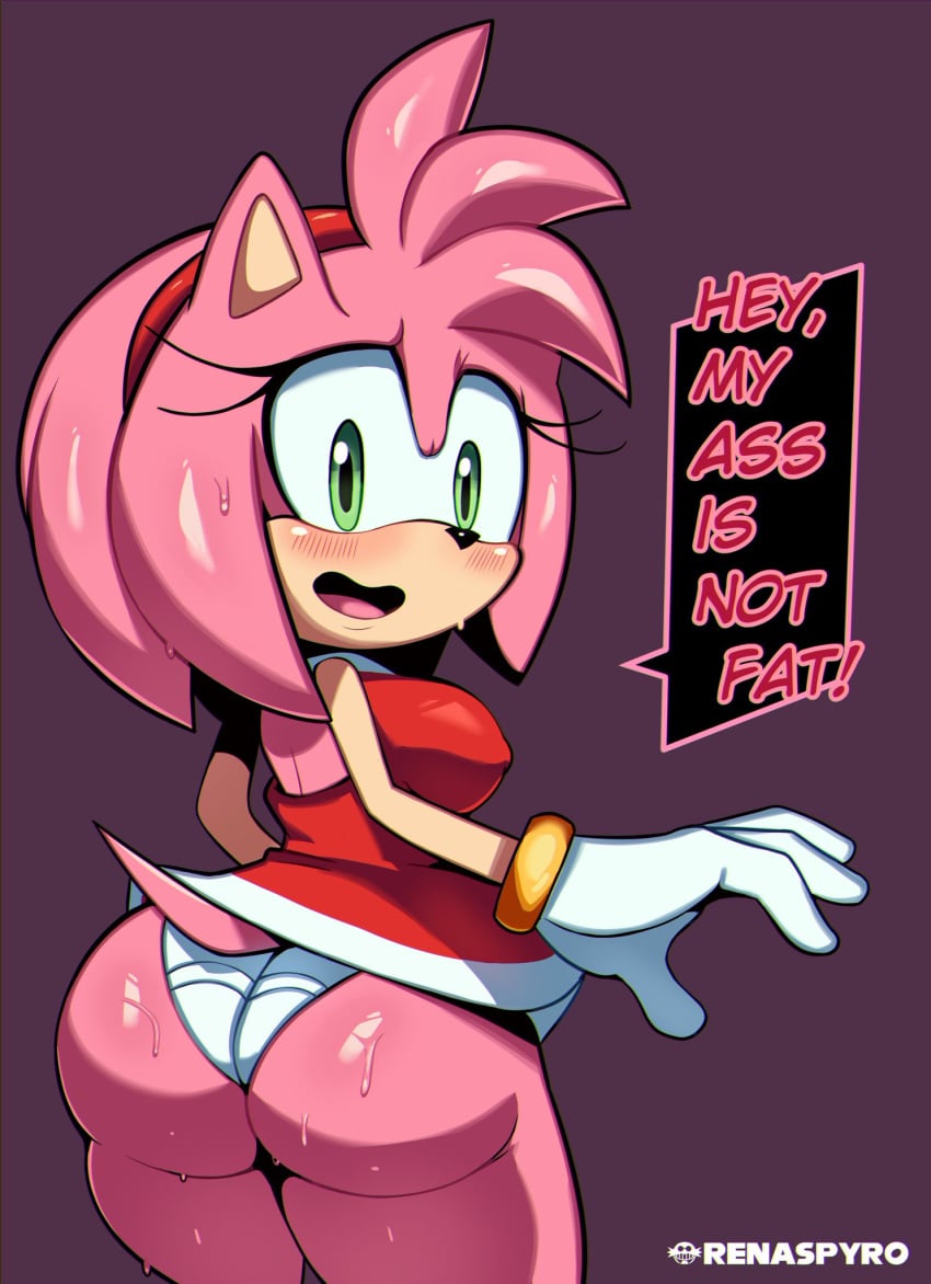 Amy Rose (Sega) Rule 34 Image
