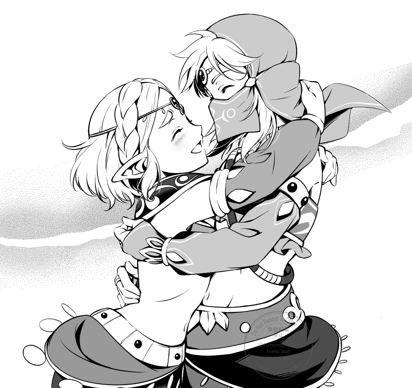 Link (Nintendo) Rule 34 Image