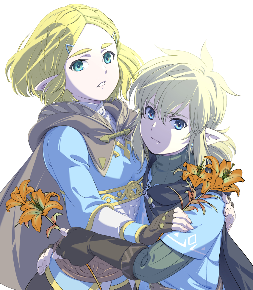 Link (Nintendo) Rule 34 Image