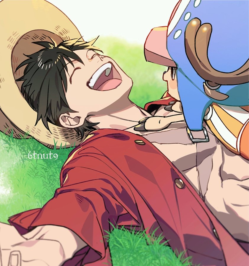 Tony Tony Chopper (Monkey D. Luffy) Rule 34 Image