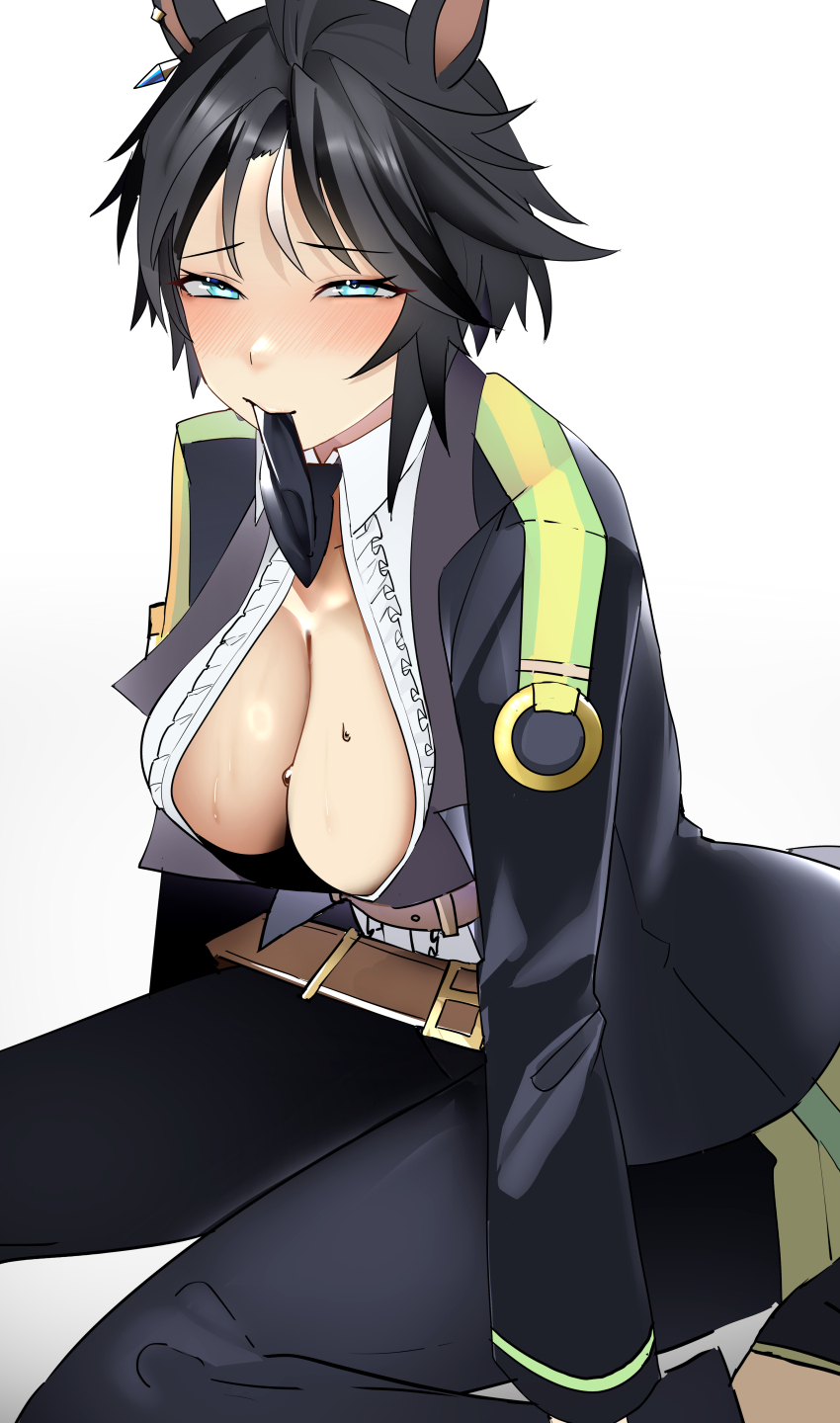 Fuji Kiseki (Shooting Star Revue) (Umamusume) Rule 34 Image