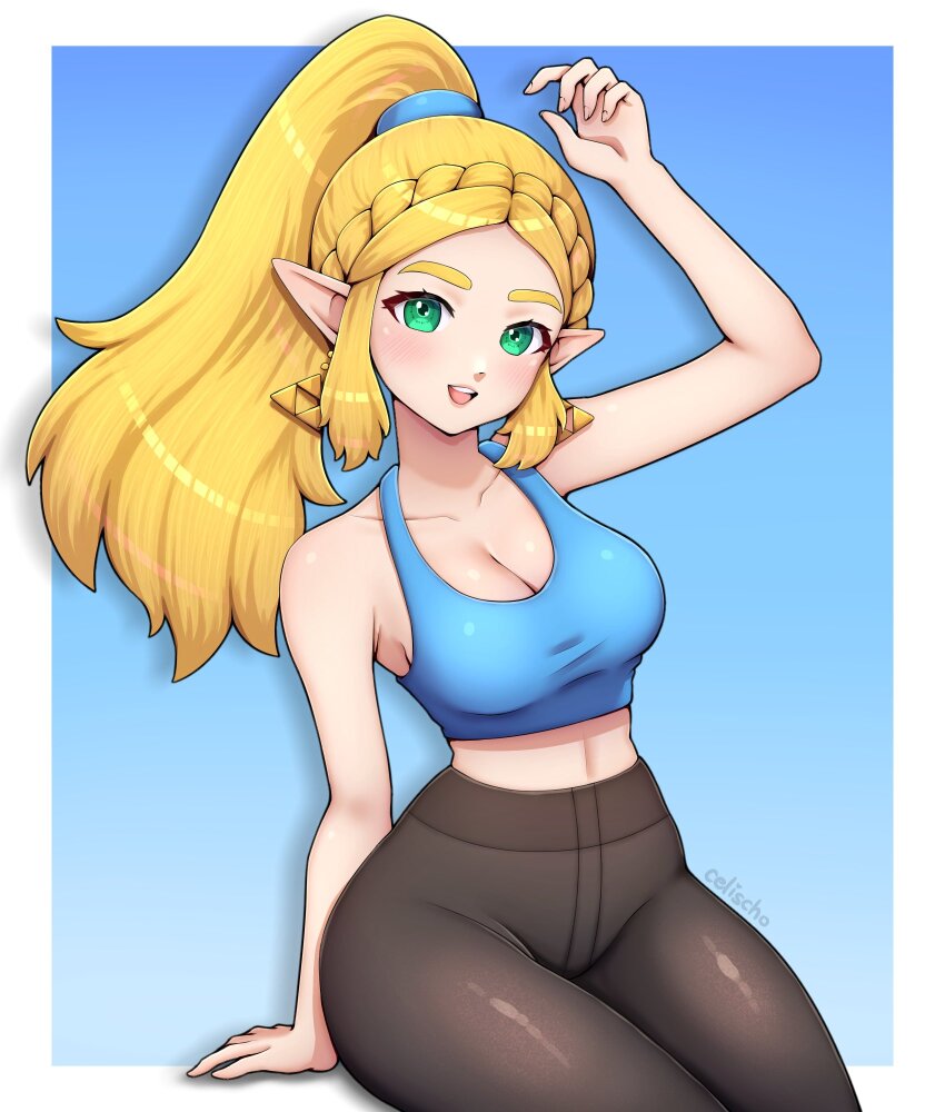Princess Zelda (Nintendo) Rule 34 Image