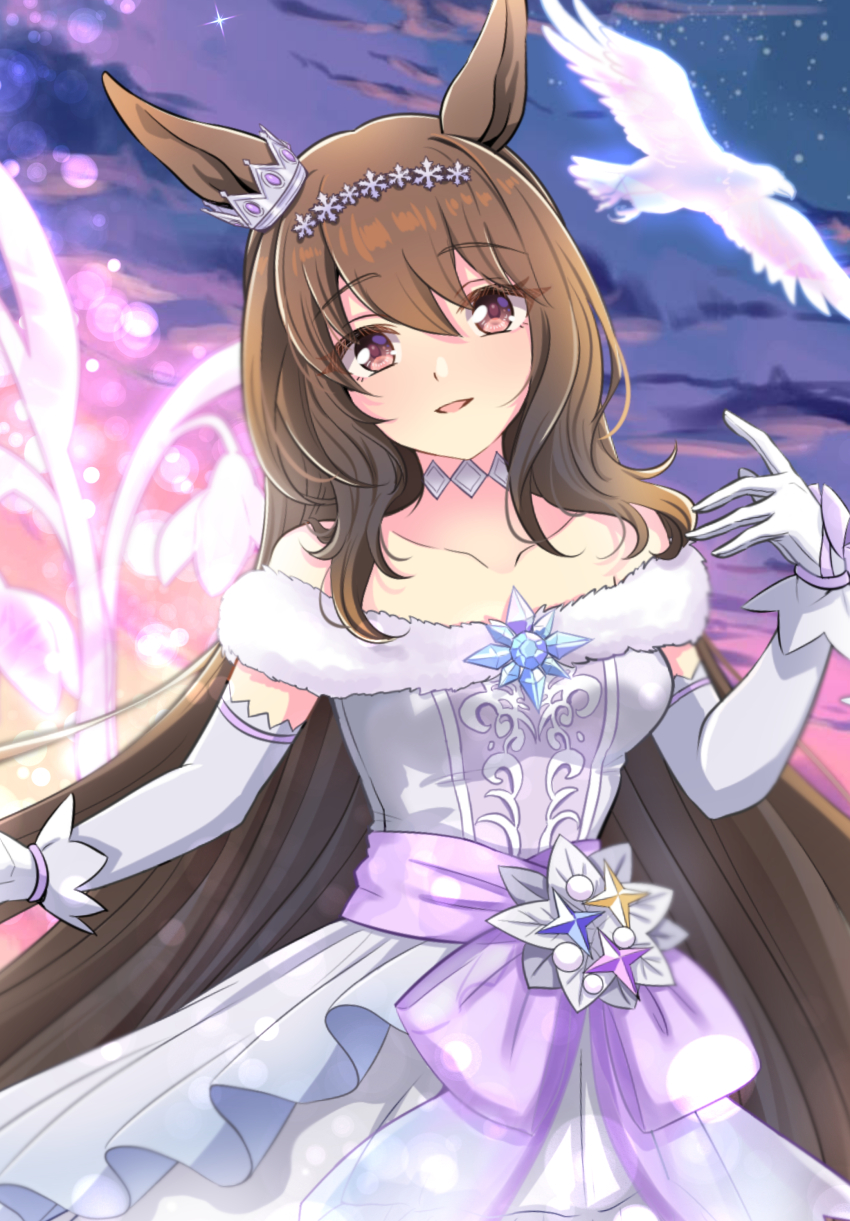 Admire Vega (Umamusume) Rule 34 Image