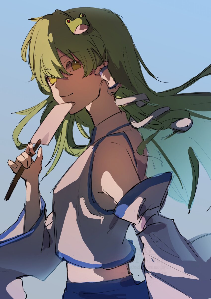 Kochiya Sanae (Touhou) Rule 34 Image