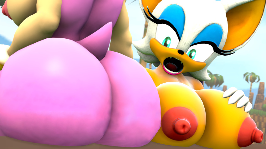 Amy Rose (Sega) Rule 34 Image