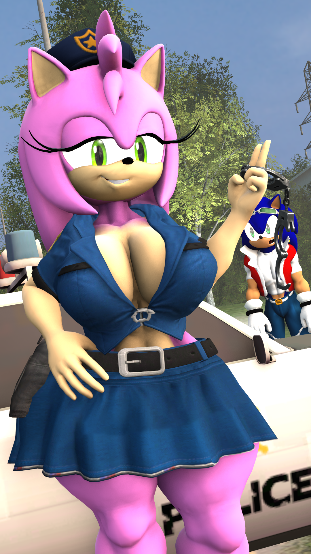 Amy Rose (Sonic (Series)) Rule 34 Image