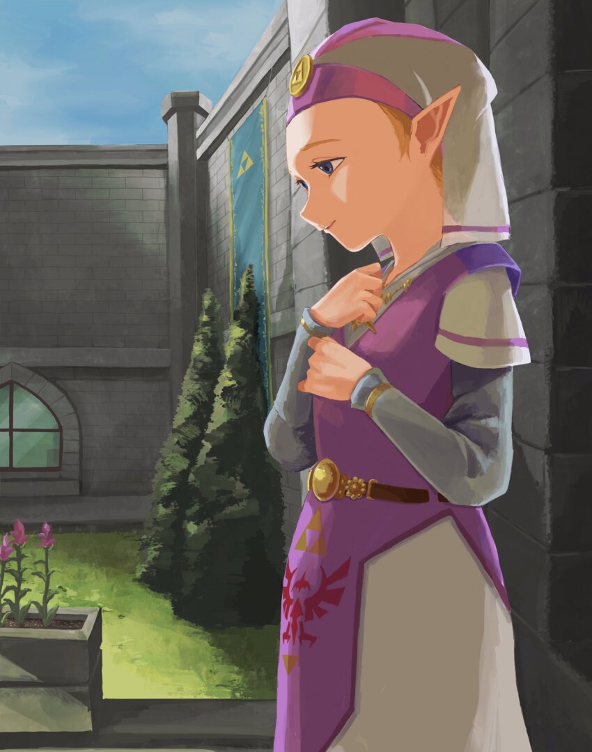 Princess Zelda (Nintendo) Rule 34 Image