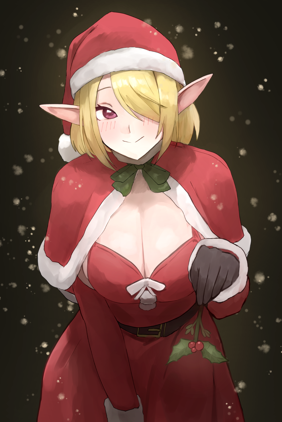 Christmas Rule 34 Image