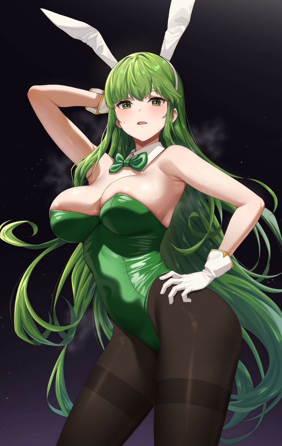 Palla (Fire Emblem) Rule 34 Image