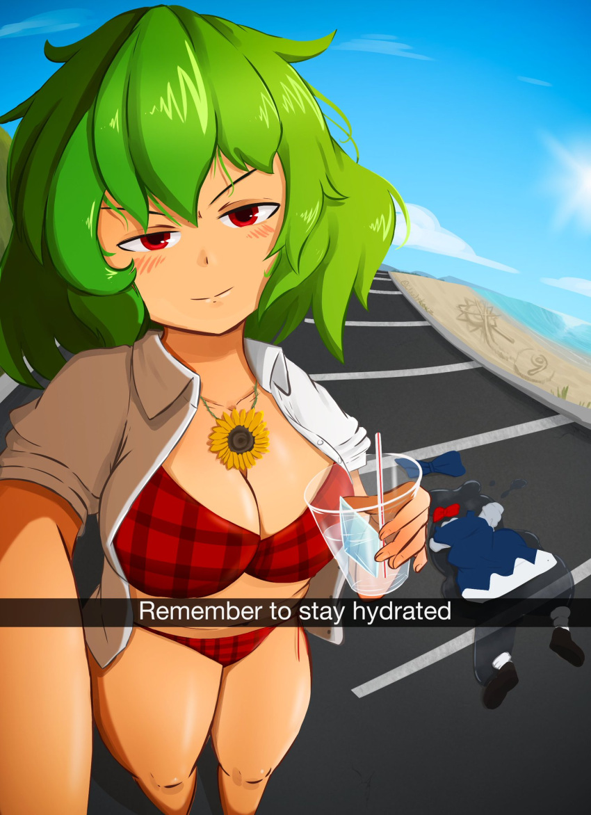 Cirno (Touhou) Rule 34 Image