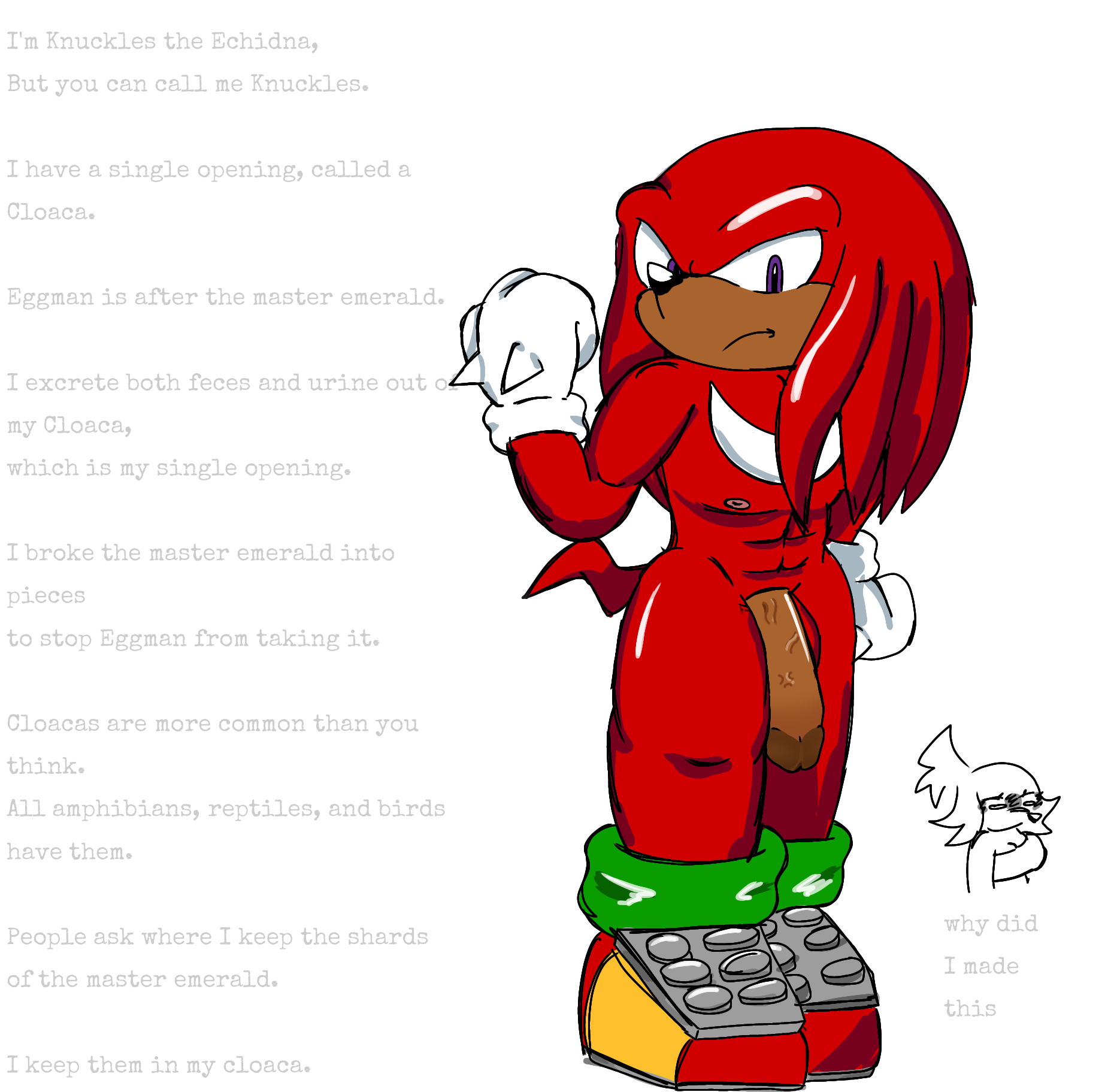 Knuckles The Echidna (Sonic (Series)) Rule 34 Image