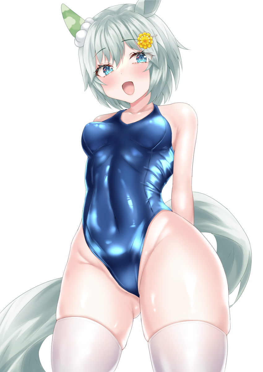 Seiun Sky (Umamusume) Rule 34 Image