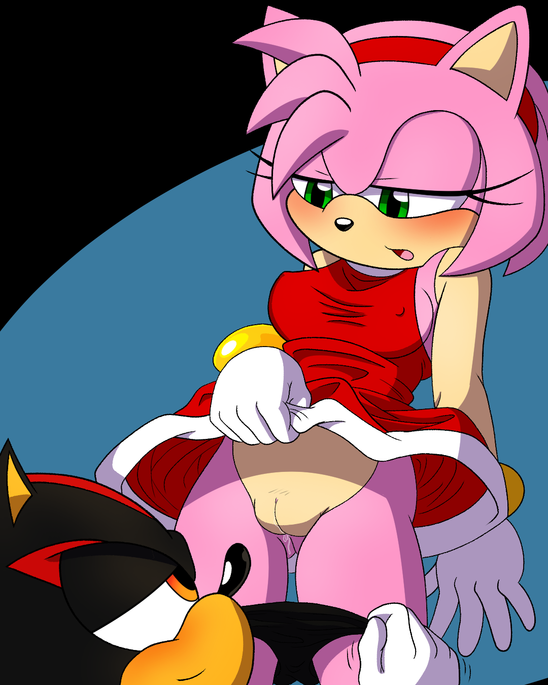 Amy Rose (Sonic (Series)) Rule 34 Image