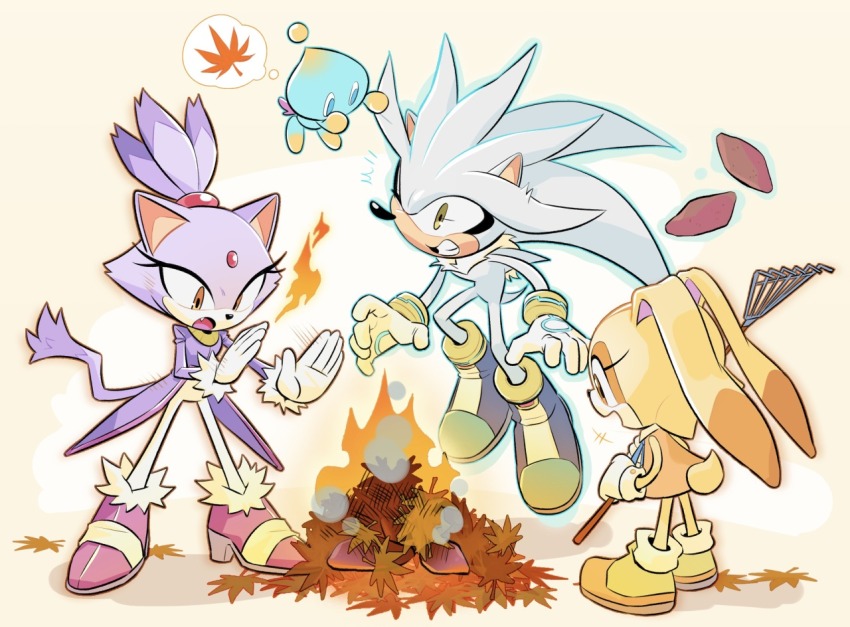 Blaze The Cat (Sonic (Series)) Rule 34 Image