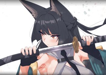 Animal Ears Rule 34 Image