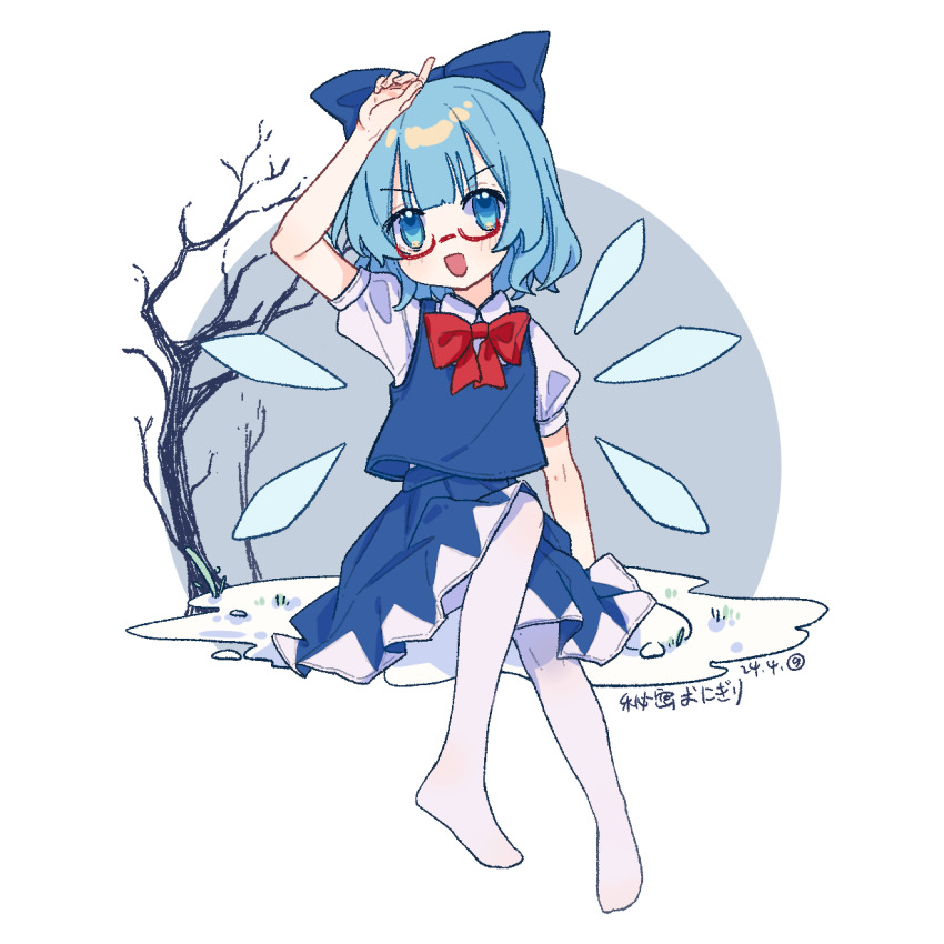 Cirno (Touhou) Rule 34 Image