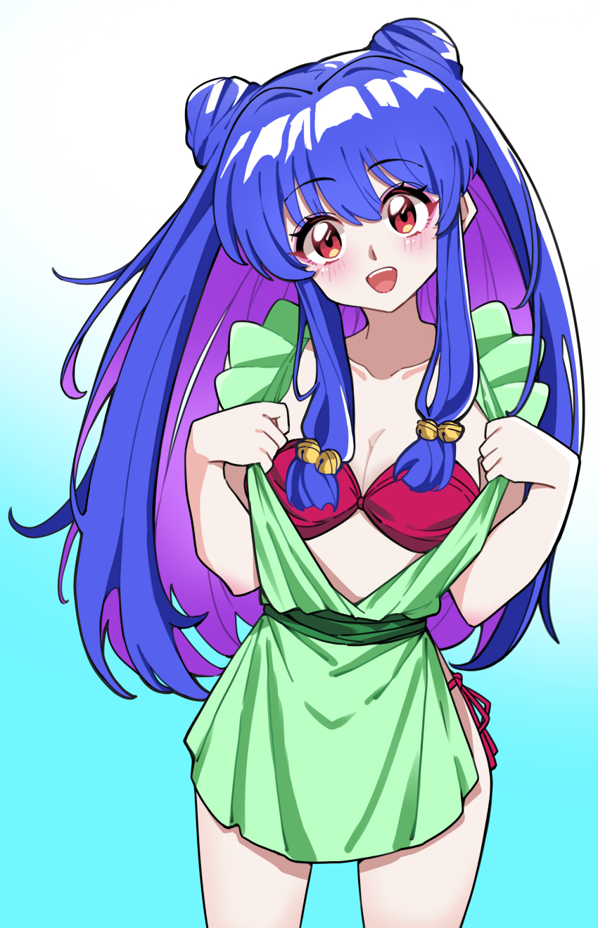 Shampoo (Ranma 1/2) Rule 34 Image