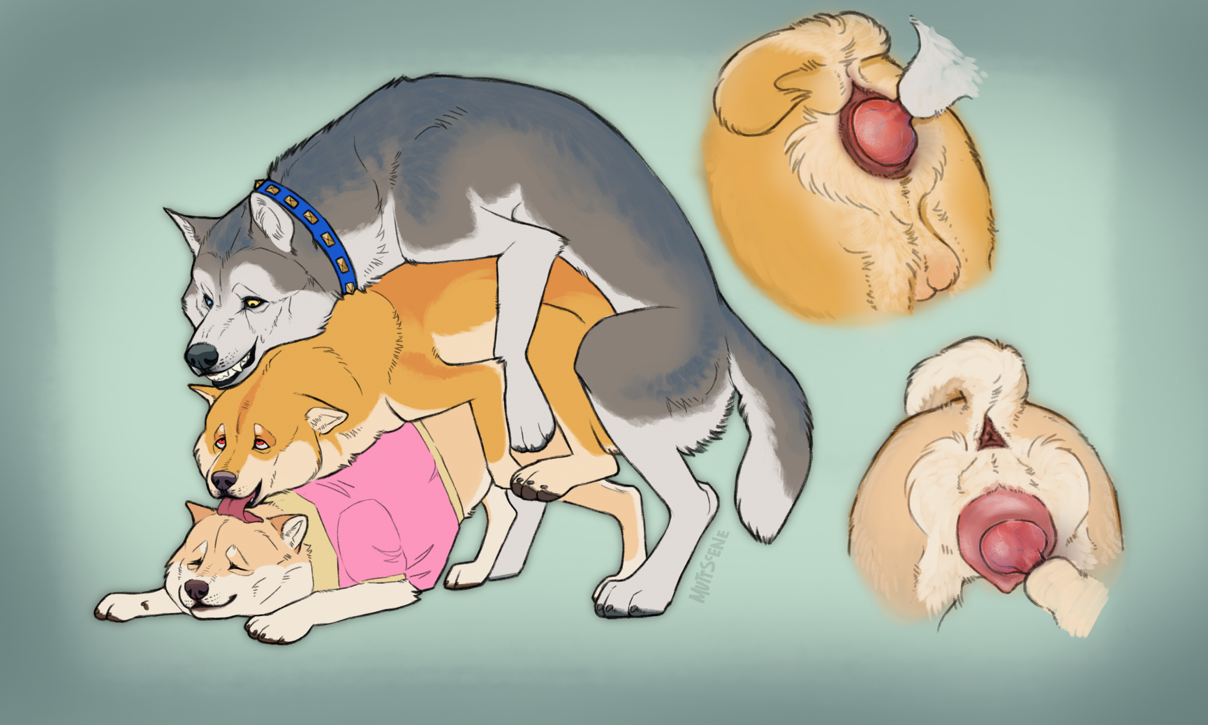 Anvil (Hakudoge) Rule 34 Image