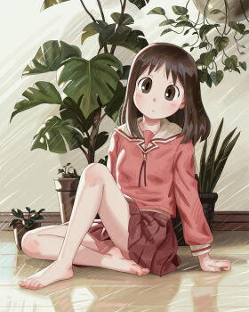 Azumanga Daiou Rule 34 Image