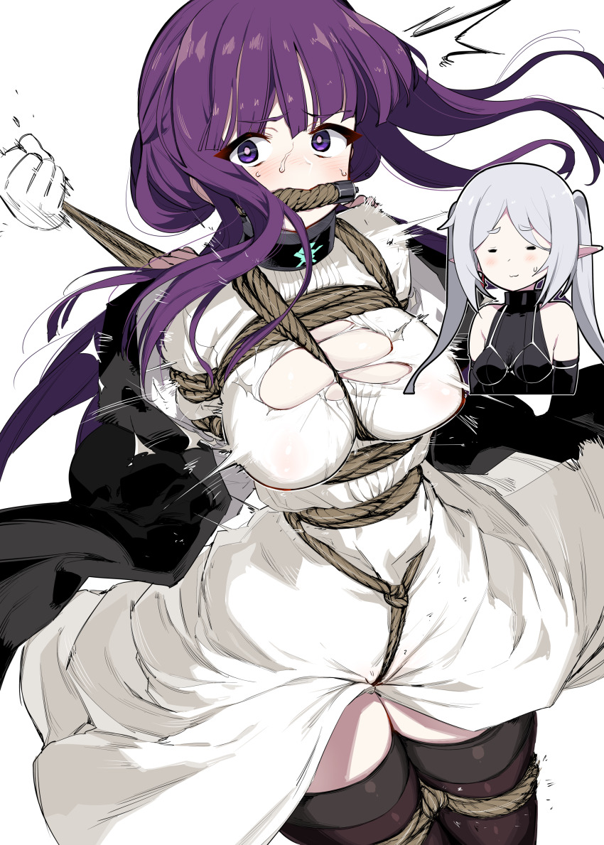 Fern (Sousou No Frieren) Rule 34 Image