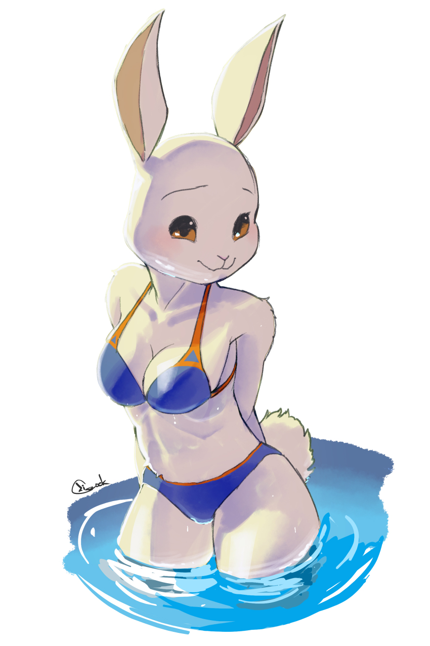 Haru (Beastars) Rule 34 Image