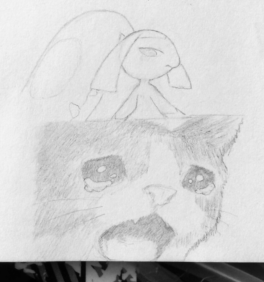 Gen 3 Pokemon (Nintendo) Rule 34 Image