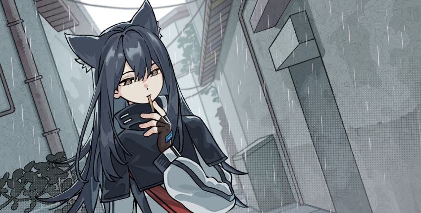 Texas (Arknights) Rule 34 Image
