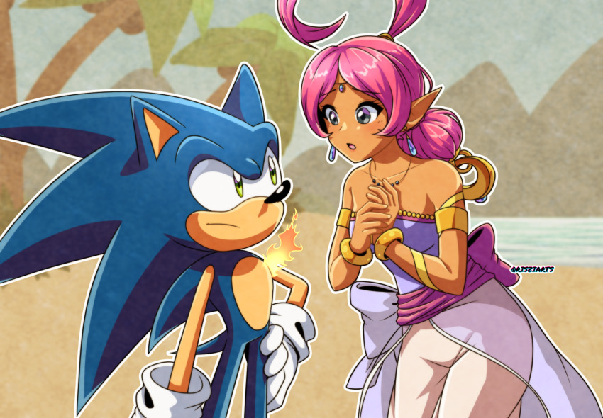 Shahra (Sonic (Series)) Rule 34 Image