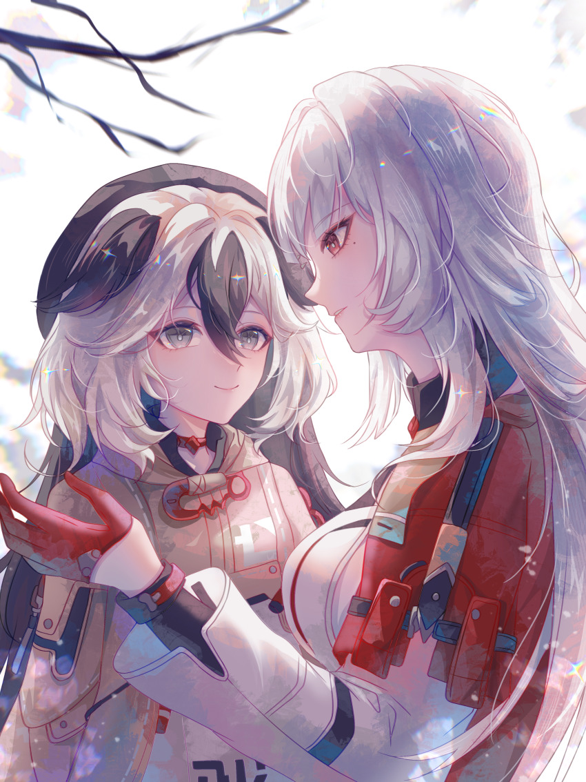 Honkai (Series) Rule 34 Image