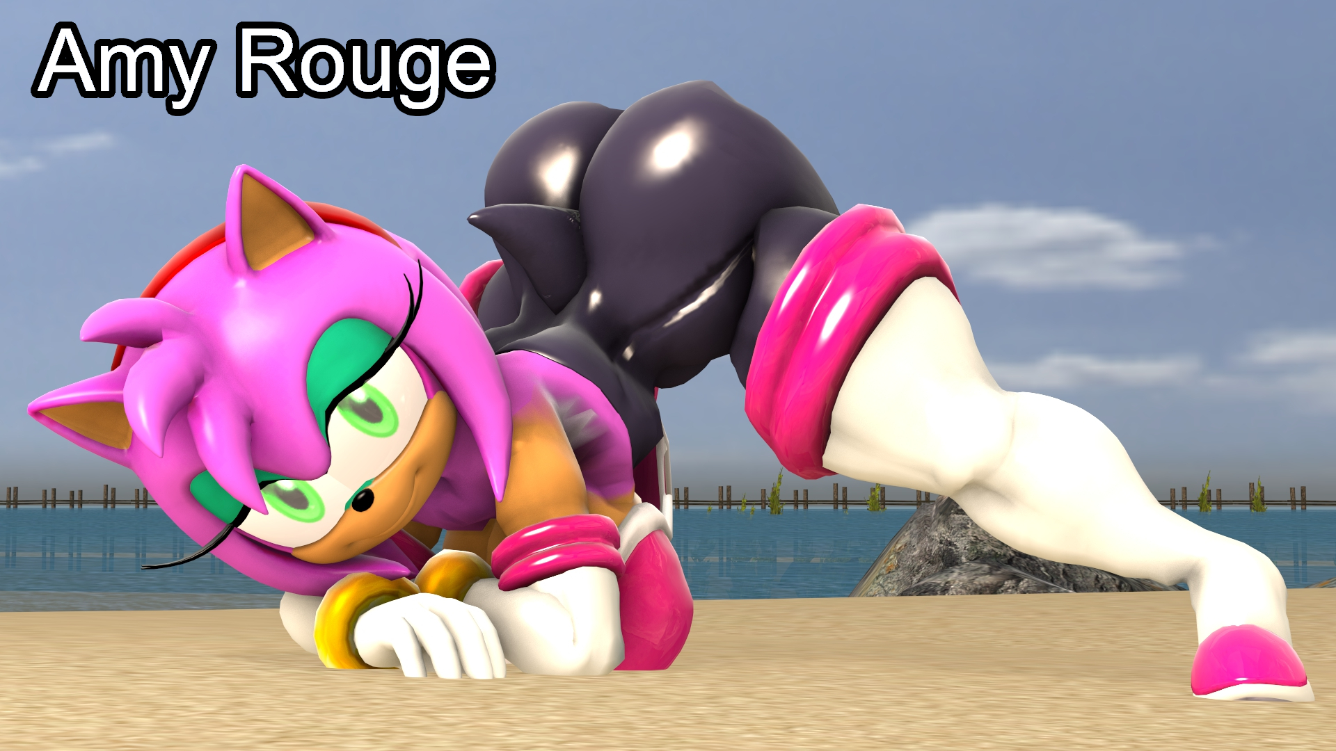 Amy Rose (Sonic (Series)) Rule 34 Image