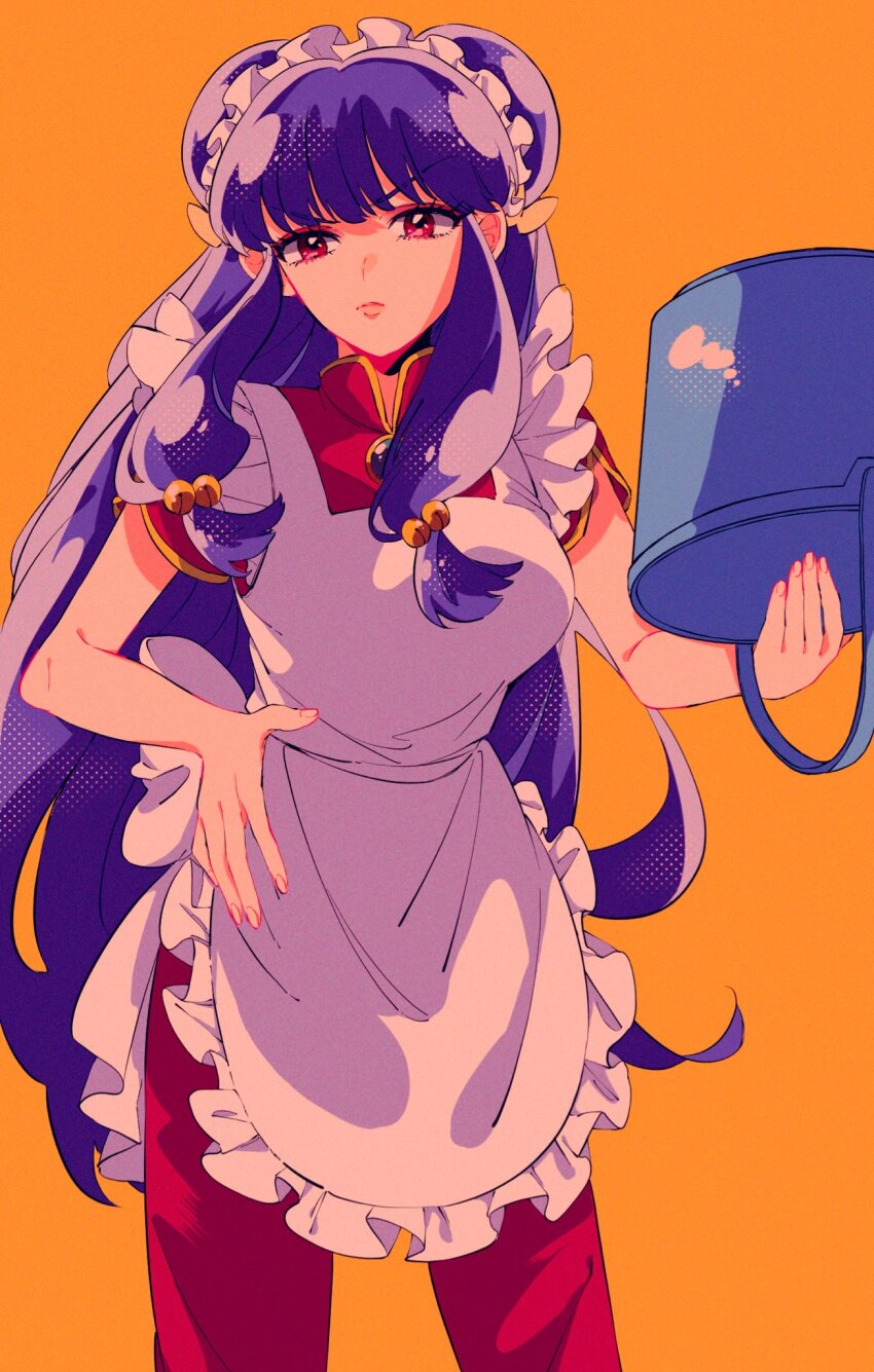 Shampoo (Ranma 1/2) Rule 34 Image