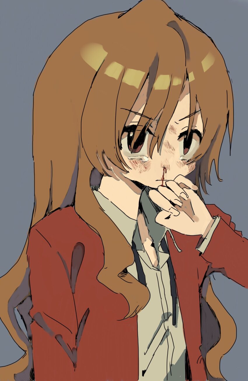 Aisaka Taiga (Toradora!) Rule 34 Image